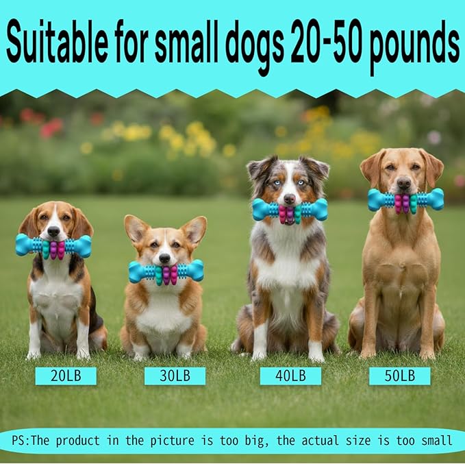 Puppy Teething Toy, Durable Chew Toy for Small Dogs, Interactive Bone Toy to Keep Puppies Busy, Teeth Cleaning Dog Toy for Small Breeds