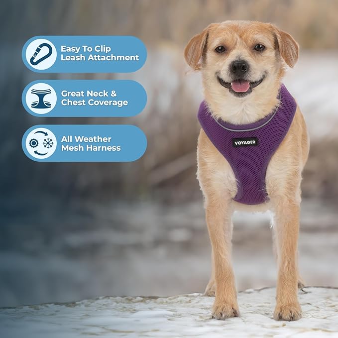 Best Pet Supplies Voyager Mesh Dog Breathable Harness Reflective Stitching, All Weather Adjustable for Walking Training, or Running - Heavy Duty & Durable, 220 Style (Purple), XS