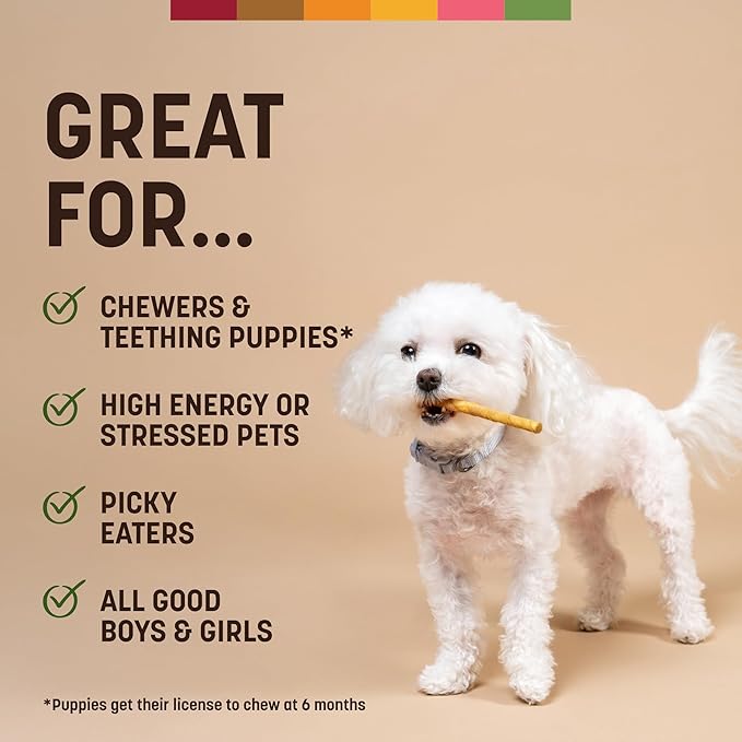 Earth Animal No Hide Stix - Long Lasting Rawhide Free Small Dog Chews Sticks, Pork - 90 Count