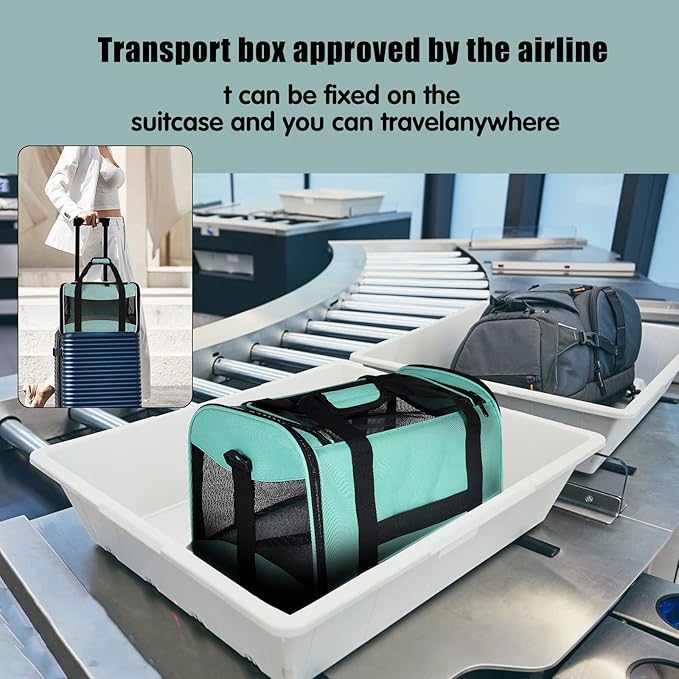 Cat Carrying Case Pet Dog Carrier Soft-Sided Cat Bag Airline Approved, Pet Travel Carrier Up to 15 Lbs, Collapsible Cats Carrier Dog Carrier for Medium Small Cats Dogs(17x11x11 Green)