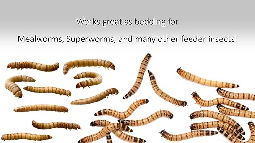 Wheat Bran Bedding & Gutload for Mealworms, Superworms, and Feeder Insects – 1/2 lb (8 oz) by Five-Star Feeders
