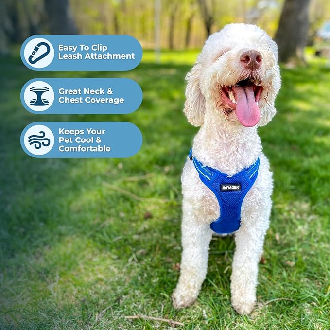 Best Pet Supplies Voyager Mesh Dog Breathable Harness Reflective Stitching, All Weather Adjustable for Walking Training, or Running - Heavy Duty & Durable, Harness Leash Set (Royal Blue), S
