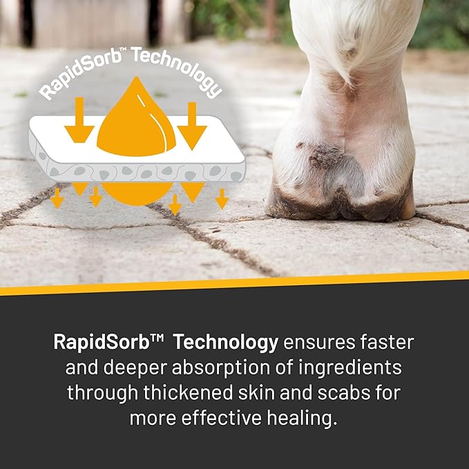 Silver Honey Rapid Relief 6oz Spray for Horses Only, Use for Equine Scratches/Pastern Dermatitis/Mud Fever/Dew Poisoning/Cracked Heels