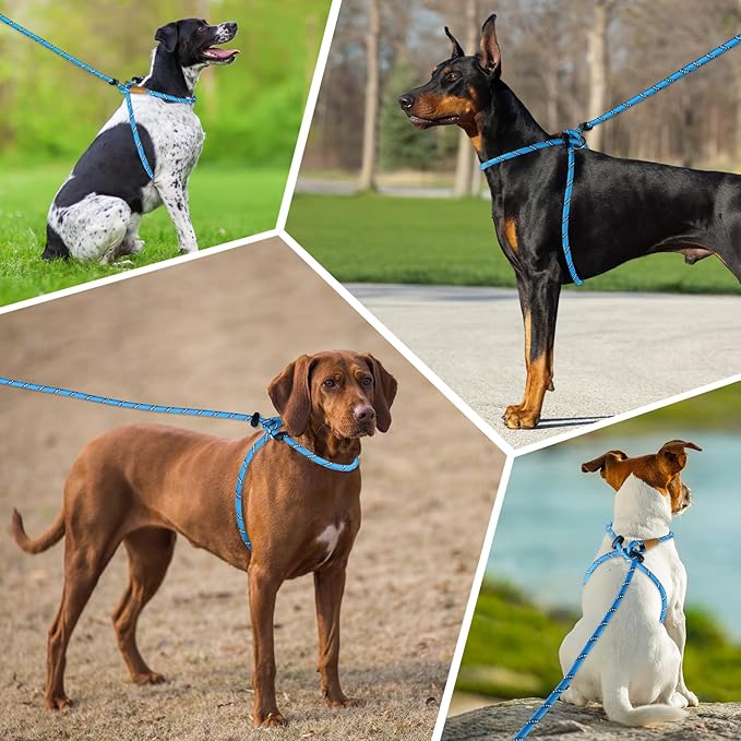 Lynxking No Pull Rope Dog Harness No Pull Reflective Leash Harness Collar 3 in 1 Dog Halter Harnesses Adjustable for Large Giant Dog (Light Blue, Extra Large(up to 80Ibs) 10ft*1/2")