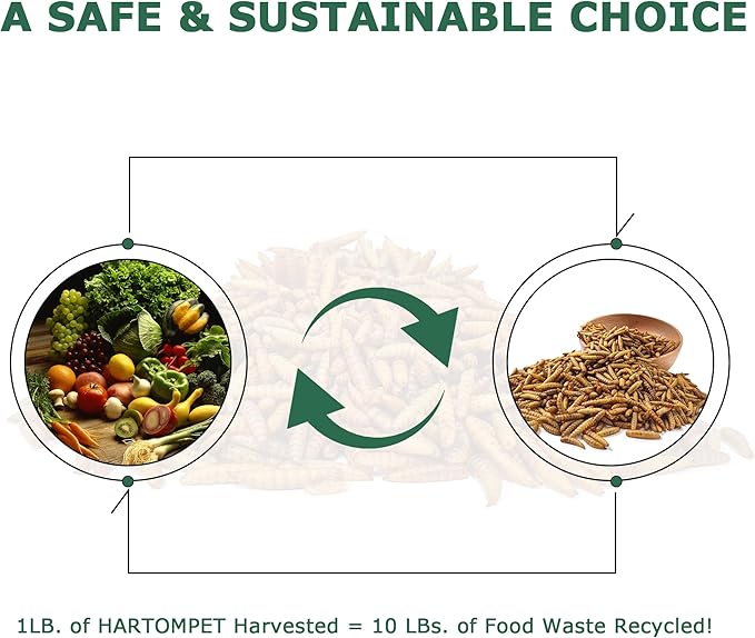 Dried BSF Larvae for Chickens - Non-GMO Poultry Feed Supplement, 85X More Calcium Than Mealworms, 1LB Grub Worms Perfect for Molting & Laying Hens, Ducks, and Wild Birds