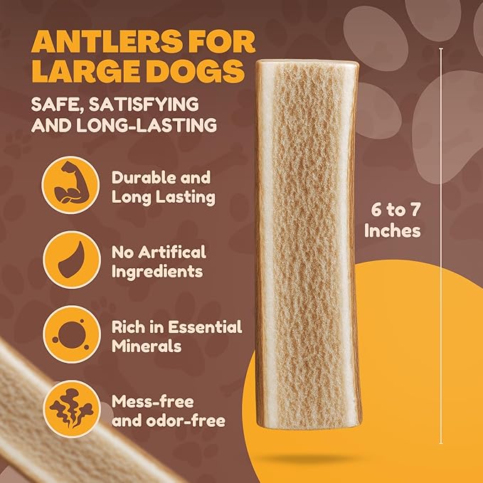 WhiteTail Naturals - Split Elk Antlers for Large Dogs - (3 Pack-Large) - Antler Dog Chews - Long Lasting Dog Chew Bone for Aggressive Chewers