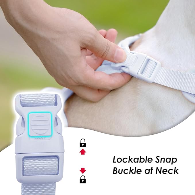 No Pull Dog Harness, Puppy Vest with Front Clip for Small Medium Large Sized Dog(Light Blue,XS)