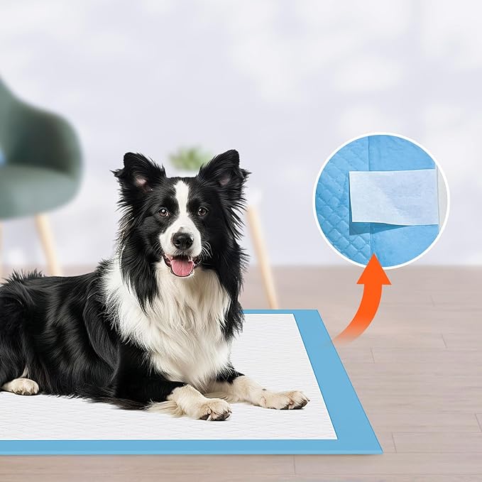 JollyMate Dog Pee Pads Extra Large 30"x36", 30 Pack X-Large Super Absorbent Pet Training Pads with Adhesive Tabs, 6 Layers Thick Leak-Proof Potty Pads for Dogs and Puppies