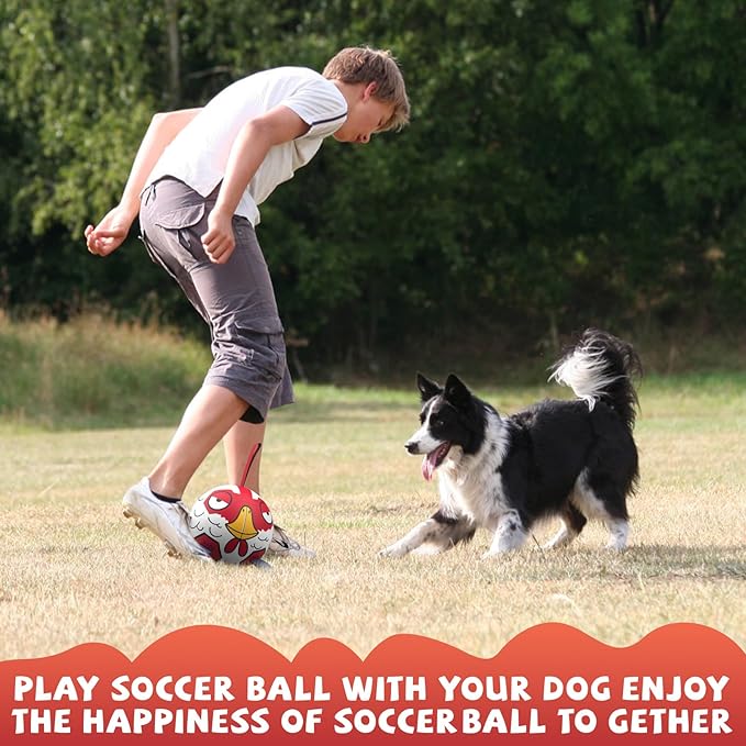 QDAN Dog Balls Toys, Outdoor Dog Toys, Dog Soccer Balls with with Straps, Premium Pet Puppy Birthday Gifts for Small Medium Dogs, 6 Inch, Chicken Ball