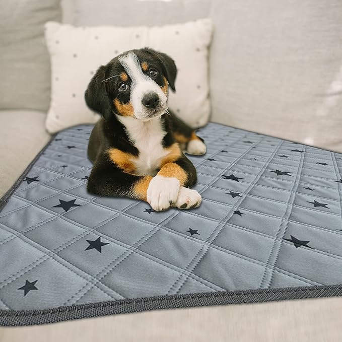 RIOUSSI Washable Pee Pads for Dogs, Reusable, Absorbent, Leakproof, Non Slip Pet Puppy Pads for Potty Training. Gray Stars, 24x36 Inch(4pack)