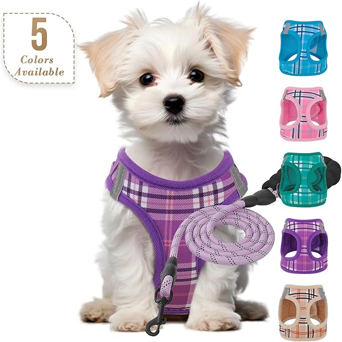 Athena Collection Small Dog Harness with 5 ft Leash, Step-in Dog Harness Leash Set Extra Small No Pull Dog Vest Harness with Reflective Strips Adjustable Velcro, Easy Walk Puppy Harness, Purple
