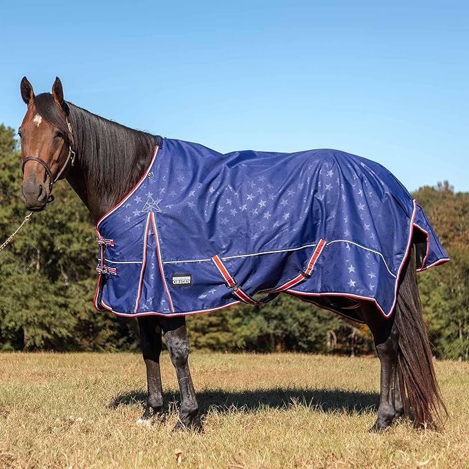 Jeffers Poplar Head 600 Denier Turnout Sheet for Horses, 0g Polyfill, 66"- Waterproof Lightweight Horse Blanket, Adjustable Chest Belly Straps, Tail Flap, Stable Blanket, Navy Color - Allegiance