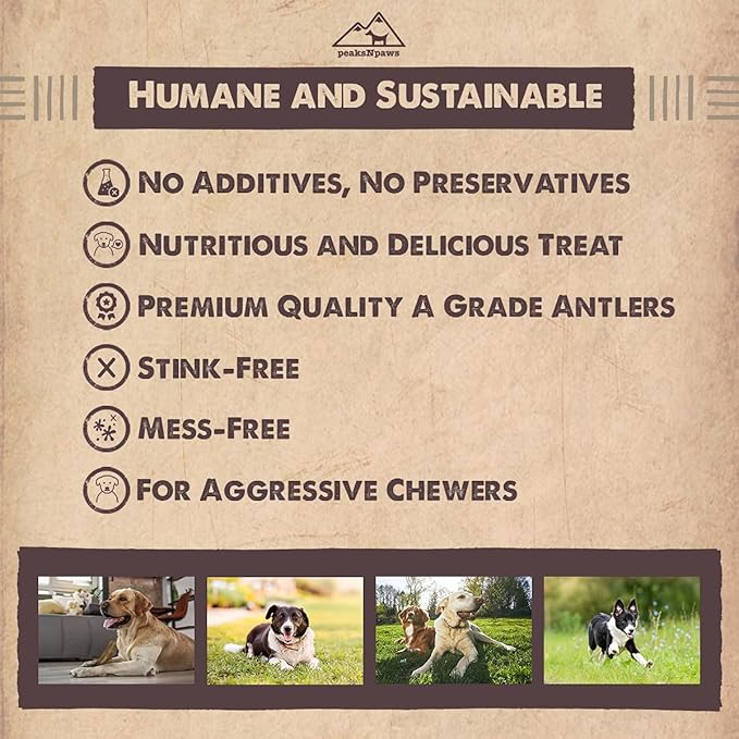 peaksNpaws Premium All-Natural Grade A Split Elk Antlers for Dogs – Naturally Shed in The Rocky Mountains – No Additives, No Preservatives - Healthy and Delicious Treat - Made in USA - S/M Split