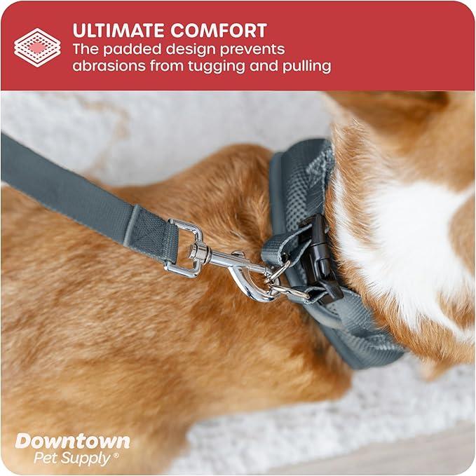Downtown Pet Supply Step in Dog Harness for Small Dogs No Pull, Small, Titanium - Adjustable Harness with Padded Mesh Fabric and Reflective Trim - Buckle Strap Harness for Dogs