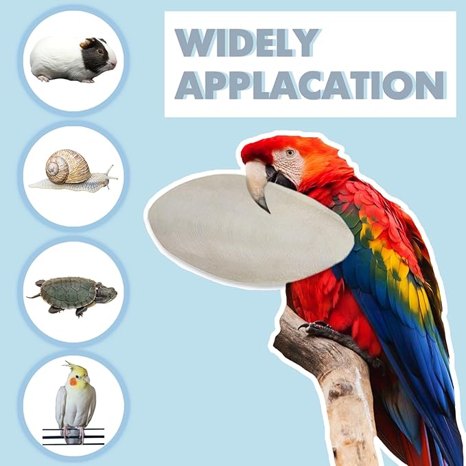 Jmxu's 5"-5.5" Bird Cuttlebone for Parakeets, Cuddle Bone with Metal Holder, Cuttlefish Bone for Sharp Beaks, Natural Birds Calcium for Parrots Cockatiels Budgie, 12Pcs