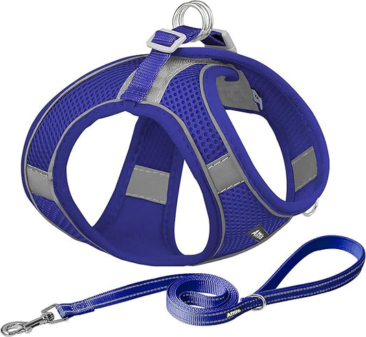 AIITLE Step in Dog Harness and Leash Set - Summer No Pull Escape Proof Vest Harnesses with Soft Mesh and Reflective Bands, Adjustable Pet Outdoor Harnesses for Small and Medium Dogs Royal Blue M