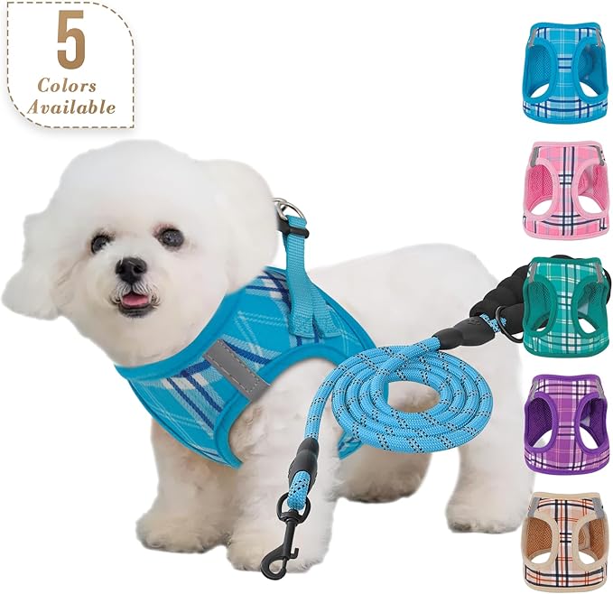 Athena Collection Small Dog Harness with 5 ft Leash, Step-in Dog Harness Leash Set Small No Pull Dog Vest Harness with Reflective Strips Adjustable Velcro, Easy Walk Puppy Harness, Blue