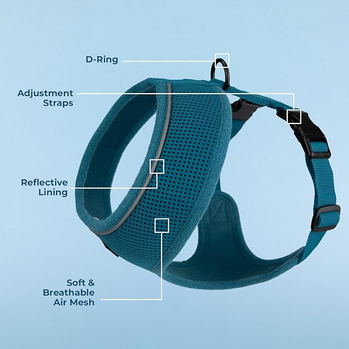 Best Pet Supplies Voyager Mesh Dog Breathable Harness Reflective Stitching, All Weather Adjustable for Walking Training, or Running - Heavy Duty & Durable, 220 Style (Turquoise), XL