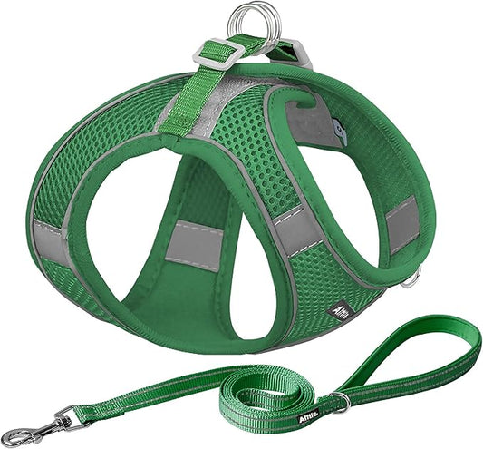 AIITLE Step in Dog Harness and Leash Set - Summer No Pull Escape Proof Vest Harnesses with Soft Mesh and Reflective Bands, Adjustable Pet Outdoor Harnesses for Small and Medium Dogs Green M
