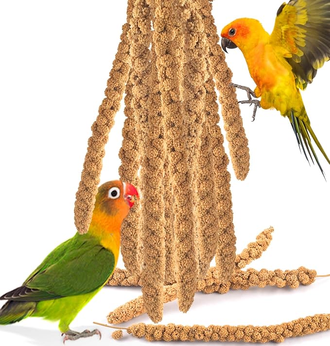 KATUMO Spray Millet Treats, 7Oz / 200g Natural Sun-Dried Bird Treats for Parakeet Conure Cockatiel Finch Pigeon Hamster Canary