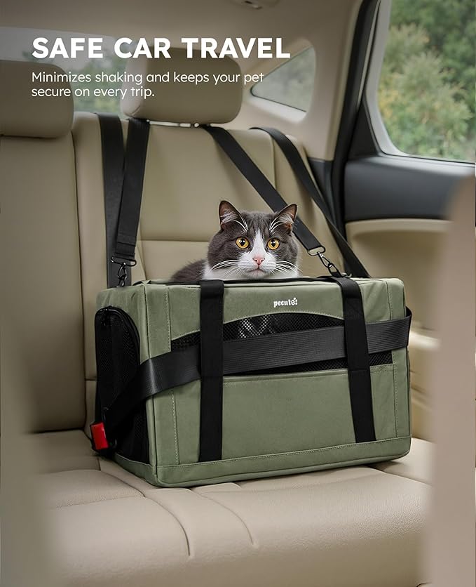 Pecute Cat Carrier Stale, Pet Carrier Breathable and Portable, Cat Carriers Bag with Scientific Hidden Partition, Carriers for Cat Under 11lbs, Dog Carrier Suitable for Travel and Outing, Green