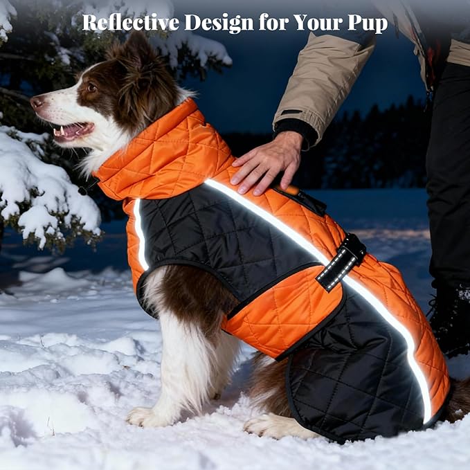 Dog Coat Dogs Winter Coat- Fleece Lined,Water-Resistant,Convertible Collar,Back Reflective Strip&Easy to Wear for Outdoor Walking Dog-Jacket(Orange, XX-Large)