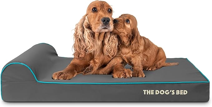 The Dog’s Bed Orthopedic Headrest Dog Bed Large Grey with Blue Trim, Memory Foam, Pain Relief for Arthritis, Hip & Elbow Dysplasia, Post Surgery, Waterproof Washable Cover