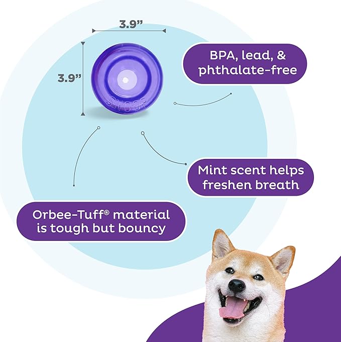 Outward Hound Lil' Snoop Interactive Treat Dispensing Dog Toy, Puzzle Ball Slow Feeder for Small to Medium Dogs, Mint-Scented for Mental Stimulation & Boredom Relief, BPA-Free, 3.9-Inch, Purple
