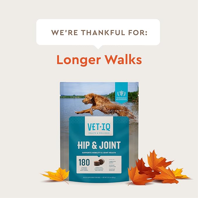 VetIQ Glucosamine Hip & Joint Supplement for Dogs, 60 Soft Chews, Joint Support Supplement with MSM and Krill, Dog Health Supplies Large & Small Breed, Chicken Flavored Chewables