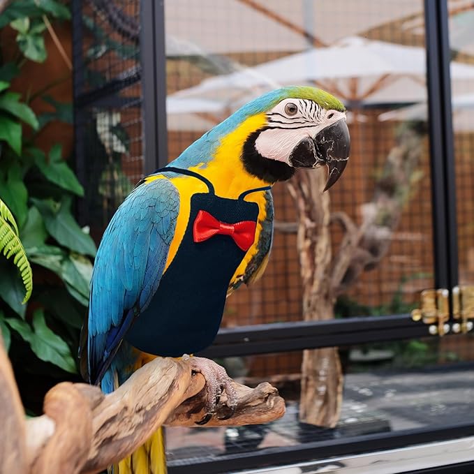 Bird Diaper Washable Reusable Parrot Diapers Flight Suit Nappies Protective Breathable Parrot Nappy Clothes for Parakeet, Macaw, Budgie, Canary, Cockatiel (Black, Medium)