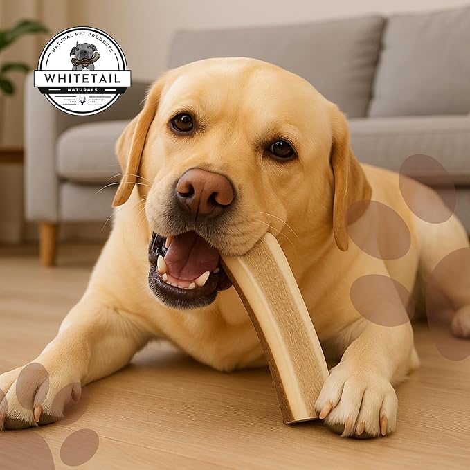 WhiteTail Naturals - Split Antlers for Large Dogs - (2 Pack- Large) - Naturally Shed, Long Lasting Dog Antler Horn - Tough Chew Bones for Aggressive Chewers