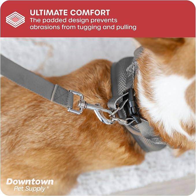 Downtown Pet Supply Step-in Dog Harness – No Pull, Adjustable Padded Mesh with Reflective Trim, Secure Buckle Strap – Comfortable & Breathable Small Dog Harness, Large, Light Gray