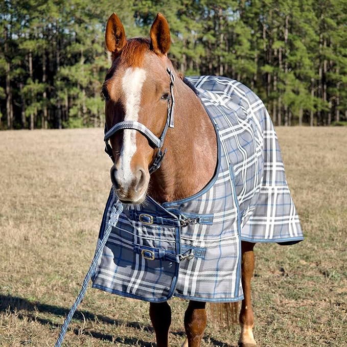 Jeffers Poplar Head 1200 Denier Turnout Sheet for Horses, 0g Polyfill, 72"- Waterproof Lightweight Horse Blanket, Adjustable Chest Belly Straps, Tail Flap, Stable Blanket -Hamilton Blue & Slate Plaid