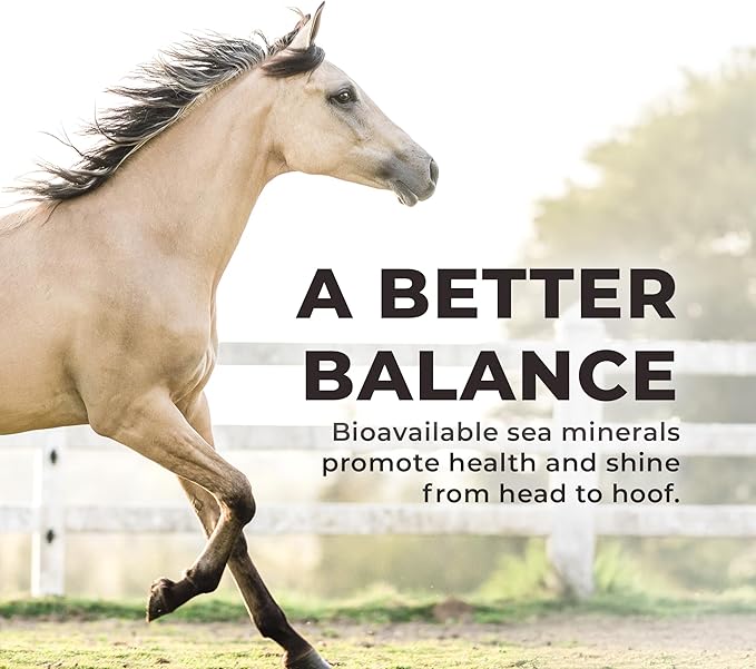 Daily Red Complete Wellness, Fortified Mineral Mix Supplement for Horses (5 LB)