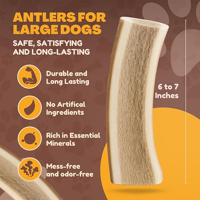 WhiteTail Naturals - Split Antlers for Large Dogs - (2 Pack- Large) - Naturally Shed, Long Lasting Dog Antler Horn - Tough Chew Bones for Aggressive Chewers