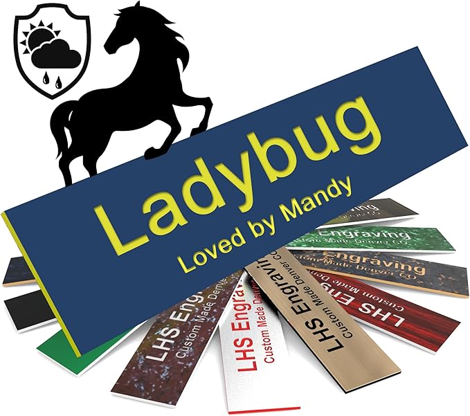 Horse Stall Name Plate, 2x12 Personalized Stall Signs, UV Protected, All Weather Adhesive, Hanging, Mounting or Other, Blue Plastic with Yellow Letters - Made in USA - B20