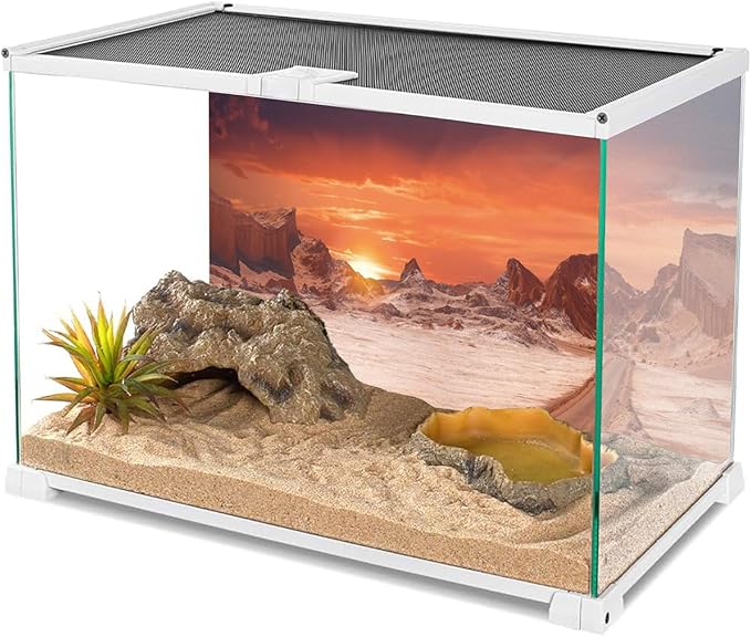 AWERT 48x20 inches Sun and Desert Terrarium Background Orange Reptile Habitat Background Durable Polyester Background