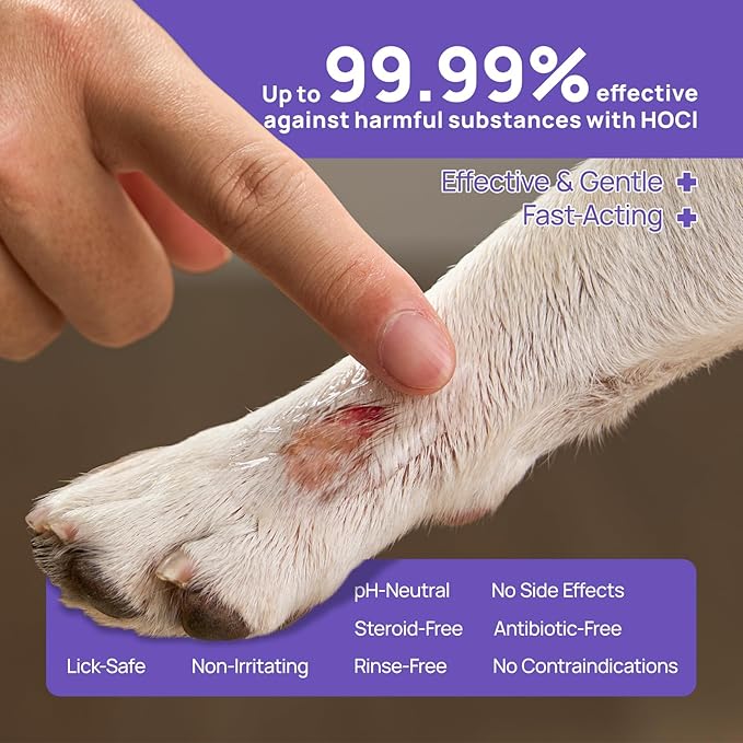 HICC PET Dog Wound Care Hydro Gel, Heals Wounds, Hot Spot Treatment for Dogs, Soothes Inflammation, Prevents Infection, Treats Bites, Scratches & Skin Ulcers, Cat Wound Care Solution, 2 Packs