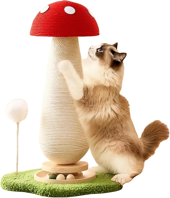 DFQ Mushroom Cat Scratching Post,Scratcher for Indoor Adults Cats, Kitty Tree with Catnip Ball Track Spring Fur Ball,Durable Sisal Toy,Kitten Tower with Durable Solid Wood,25.2''-Red