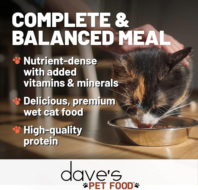 Dave's Pet Food Grain Free Wet Cat Food (Shredded Chicken in Gravy), Made in Canada Naturally Healthy Canned Cat Food, 13.2 oz (12 Pack)