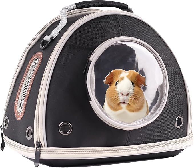 Guinea Pig Travel Carrier Cage, Portable Carry Bag for Two (2) Pigs, Reptile Bearded Dragon Lizard Carrier Bag for Small Animals Hamster Hedgehog Bird Bunny Kitten (Black, Typical Oxford)