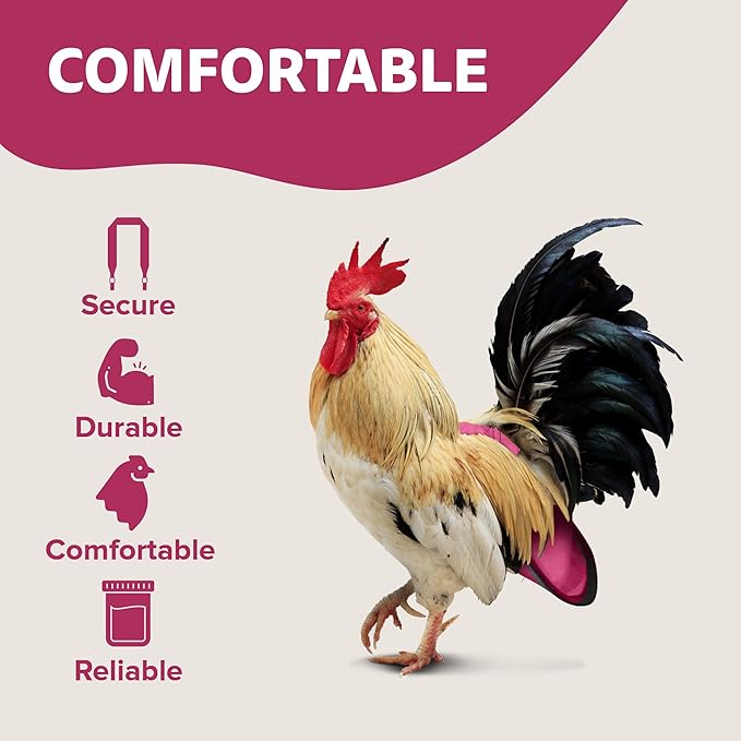 Hen Holster, Wrap-Around Chicken Diapers, Comfy Chicken Diapers for Hens & Roosters, US-Made Chicken Diaper, Must-Have Chicken Accessories, with Sewn-in Liner, XL, Pink - Crazy K Farm
