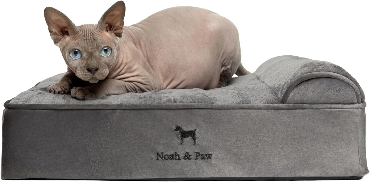 NOAH & PAW Small Dog Bed, 20x15x6.5 Inch, Cat Bed for Indoor Cats, Orthopedic Eggshell Memory Foam Infused with Cooling Gel, Waterproof, Machine Washable, Includes Inner Cover (Velvet Collection)