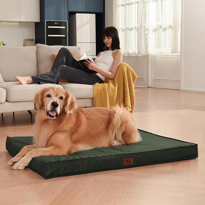 Outdoor Large Washable Dog Bed, Orthopedic Egg Crate Foam Dog Crate Mat for Large Dogs with Removable Oxford Cooling Cover, Dark Green