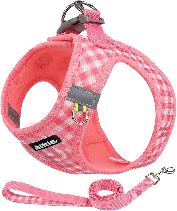 AIITLE Easy Walk Dog Vest Harness and Leash Set, Pet Supply No Pull, Breathable Mesh, Reflective Stripes, Adjustable Escape Proof Pet Outdoor Harnesses for Medium Dogs Watermelon L