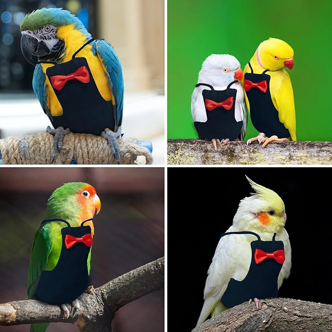 Bird Diaper Washable Reusable Parrot Diapers Flight Suit Nappies Protective Breathable Parrot Nappy Clothes for Parakeet, Macaw, Budgie, Canary, Cockatiel (Black, Medium)