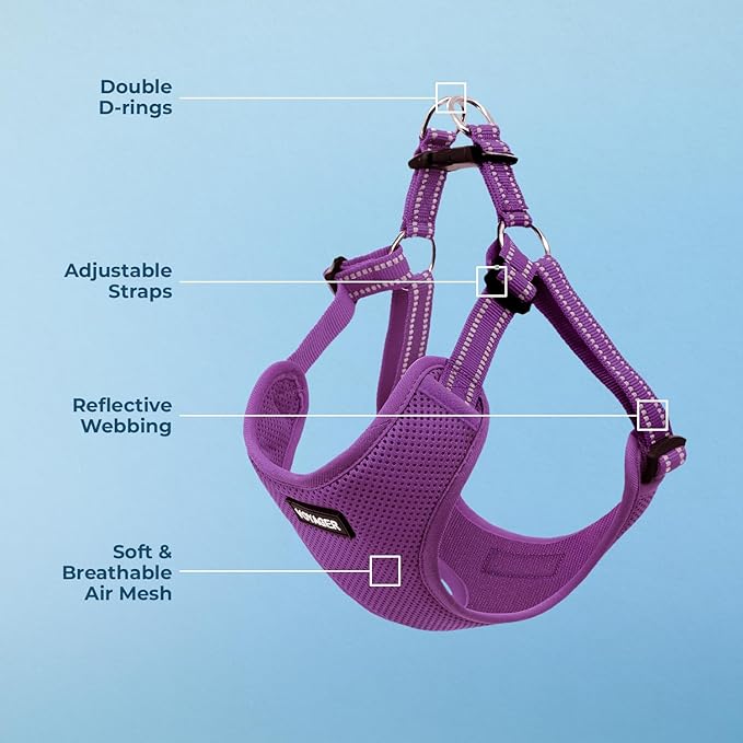 Best Pet Supplies Voyager Mesh Dog Breathable Harness Reflective Stitching, All Weather Adjustable for Walking Training, or Running - Heavy Duty & Durable, Harness (Purple), L