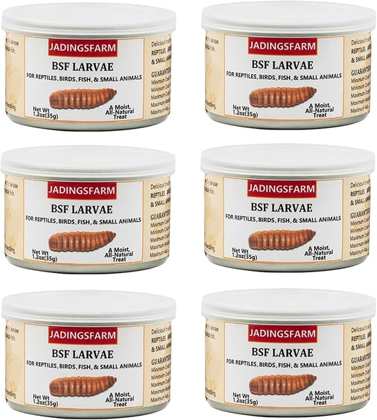 6 Pack Canned Black Soldier Fly Larvae for Reptiles, Fish, Birds and Small Animals, BSF, Healthy High Protein Treat, Reptile Bird Fish Food 7.2 Ounces Total