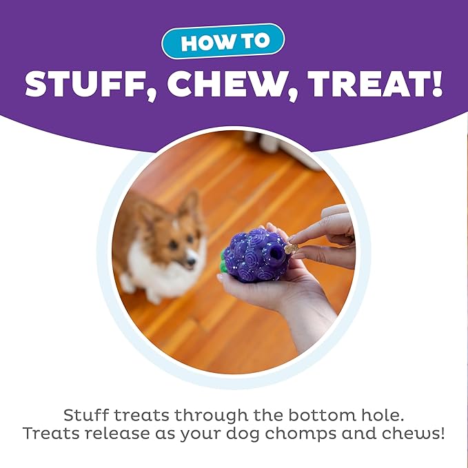 Outward Hound by Planet Dog Dental Grapes Dental Chew Toy and Interactive Treat Stuffer Durable Dog Toy Stuffable Dog Toy, Medium, Purple