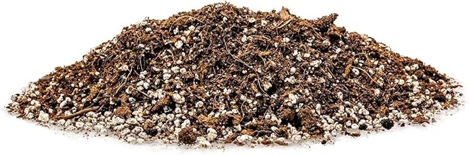 Gardenera Spearmint Plant Potting Soil - All-Natural Blend for Thriving Spearmint Plants - Boosts Root Health and Aroma - 10 Quart